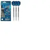 Harrows Assassin Fléchettes Noir/Argent/Bleu 23 g
