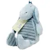 Rainbow Designs Classic Eeyore Soft Toy Dn1472 - [Livre en VO] Unknown (Auteur)