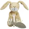 Peluche avec anneau de dentition en silicone Rainbow Designs Guess How...