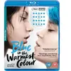 Artificial Eye Blue is The Warmest Colour [Blu-Ray]