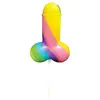 Spencer & Fleetwood Sucette Pénis Rainbow Cock Pop