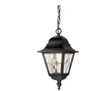 Elstead Norfolk - Lanterne à chaîne pour plafond extérieur à 1 ampoule noire IP43, E27