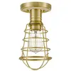 QUOIZEL Mixon de lampe à plafond E27 40W Steel Brackage en laiton l: 13,5 cm b: 14,5 cm Ø14,5 cm