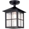 Elstead Winchester - Lanterne de plafond extérieure à 1 ampoule noire IP43, E27