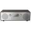 Panasonic RF-D100BT Portable Numérique Noir, Gris