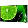Écran d'affichage numérique NEC MultiSync E438 42,5" IPS UltraHD 4K