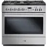 Cuisinière FALCON Professional+ FX 90 Mixte Inox/Chrome - PROP90FXDFSS/C