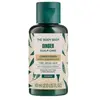 Après-shampoing Gingembre 60 ml