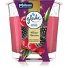 GLADE Winter Berries bougie parfumée 112 g