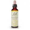 FLEURS DE BACH Original n°28 Scleranthus fleur de bach flacon compte-gouttes 20ml