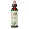 FLEURS DE BACH Original n°01 Agrimony (aigremoine) fleur de bach flacon 20ml