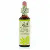 Fleurs de Bach n°35 Châtaignier Blanc - Marronnier Blanc 20ml