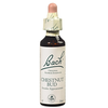 Fleurs de bach chesnut bud 20ml