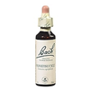 FLEUR DE BACH Original n°16 Honey suckle fleur de bach flacon compte-gouttes 20ml
