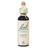 Fleurs De Bach® Original - Fleur de Bach n°19 Larch - Flacon compte-goutte 20mL