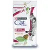Purina Aliments pour chat Cat Chow Urinary Tract Health Adulte Poulet 1,5 Kg TU
