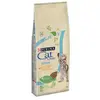 Purina Nourriture Pour Chats Adultes Chow Chicken 15kg