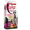 15 kg FitActive Originals Adult Regular au boeuf, croquettes pour chiens
