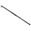 Carp Expert Canne Carpfishing Silver Carp Power Tele