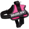 Julius K9 Power Harness / Harnais Pour Etiquettes Fuchsia