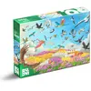 Roovi Puzzle 1000 pièces : Merveilleux Oiseaux