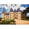 Puzzle 1000 Pièces : Châteaux de France - Château de Chaumont, DToys