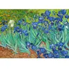 Non communiqué Puzzle 1000 pièces Enjoy - Vincent Van Gogh : Iris