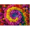 Puzzle 1000 piÃ¨ces : Vortex de fleurs