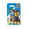 Nickelodeon Paw Patrol Lip Balm baume à lèvres pour enfant Blueberry 4...
