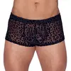 Noir Handmade Boxer Transparent Animal