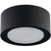 Euluna Spot pour plafond Flea en acier, noir