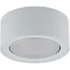 Euluna Spot pour plafond Flea en acier, blanc