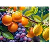 CherryPazzi Puzzle 1000 pièces : Fruits ensoleillé