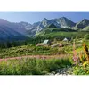 CherryPazzi Puzzle 1000 pièces :  Gąsienicowa hall dans les Tatras