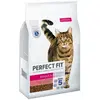 Perfect Fit Croquettes Adultes pour Chats Actifs à partir de 1 an - Boeuf - 7 kg (1 Sachet)