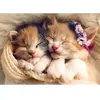 Trefl Puzzle 500 pièces : Chatons endormis