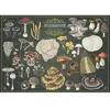 Puzzle 500 pièces : Trouvé, c'est gardé - Champignon