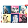 Puzzle 500 pièces TREFL Chatons Animaux - Adulte - Coloris Unique