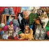 Trefl- Puzzles 1000 Puzzels, TR10555, coloré