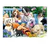 Puzzle 1000 pièces - Trefl - Chiens dans le jardin - Animaux - Blanc - Adulte