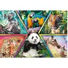 Puzzle 1000 pièces - TREFL - Royaume des animaux - Adulte - Intérieur - 1000 pièces