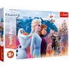 Trefl, Puzzle, Un voyage magique, Disney La Reine des Neiges 2, 24 Max...