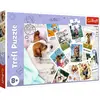 TREFL- FÜR KINDER AB 7 JAHREN PUZZLE DE 300 PIÈCES, 23003, COLORÉ