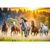 Trefl Puzzle 1500 pièces : Chevaux sauvages