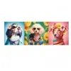 Trefl-Défilée de Mode, édition Chien-Puzzle panoramique 500 éléments-P...
