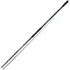 Mikado Canne Carpfishing Trython Carp