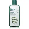 Farmona Herbal Care Nettle shampoing pour cheveux gras 330 ml