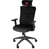 Genesis ASTAT 200 Chaise de jeu ergonomique noire