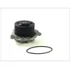 Pompe à eau THERMOTEC D1D019TT