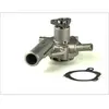 Pompe à eau THERMOTEC D1G030TT